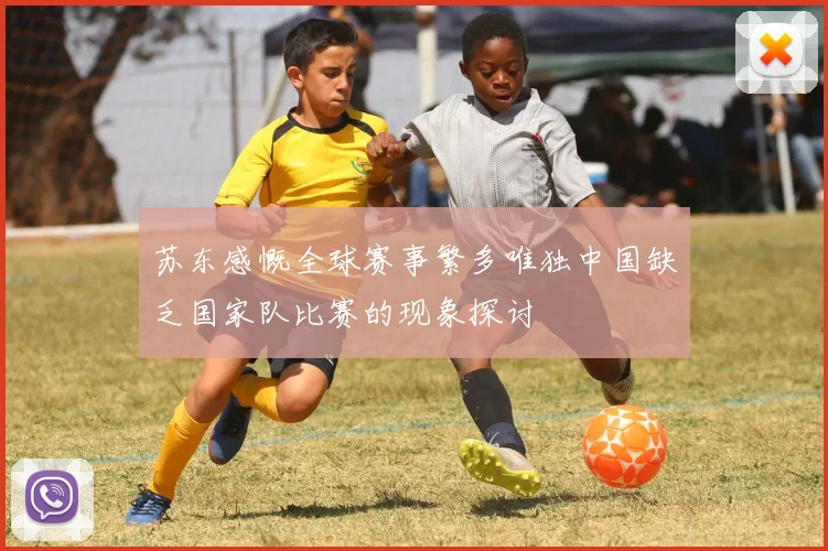 苏东感慨全球赛事繁多唯独中国缺乏国家队比赛的现象探讨