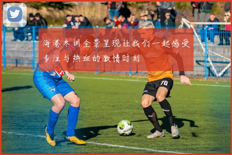 海港冬训全景呈现让我们一起感受专注与热血的激情时刻