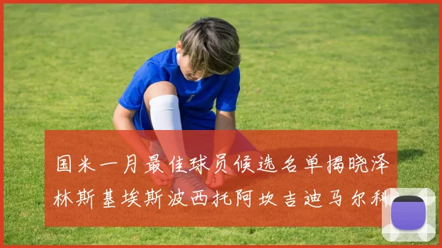 国米一月最佳球员候选名单揭晓泽林斯基埃斯波西托阿坎吉迪马尔科争夺荣誉