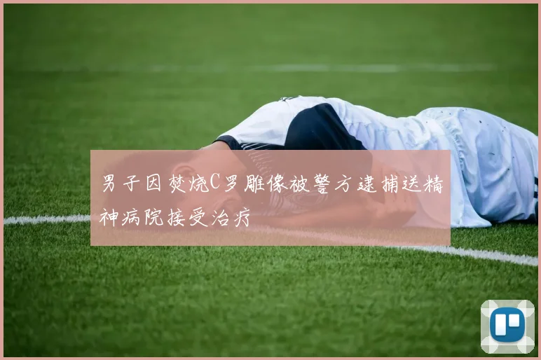 男子因焚烧C罗雕像被警方逮捕送精神病院接受治疗